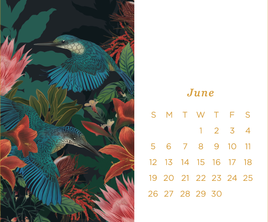 january 2019 desktop calendar